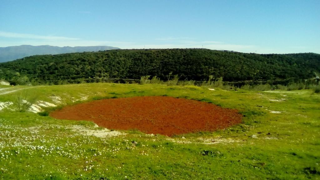 Apartamento O Casa Rural Roquemar Guijo de Granadilla Buitenkant foto